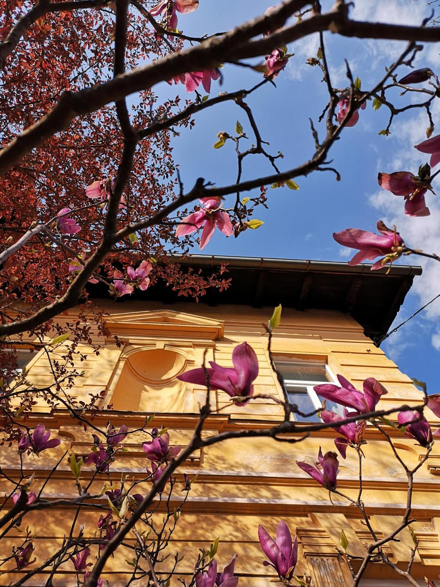 The Villa, Ljubljana City Center Экстерьер фото
